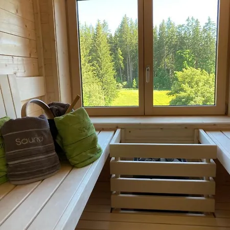 Lejlighed Deluxe Blasbichlerhof Ramsau am Dachstein